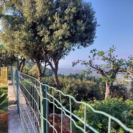 Villa Maremonti Монополі Екстер'єр фото