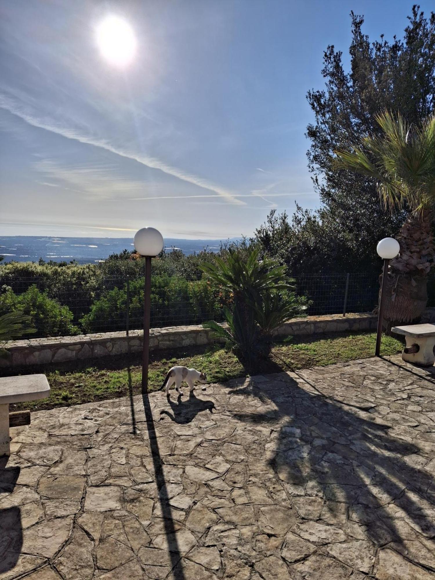 Villa Maremonti Монополі Екстер'єр фото